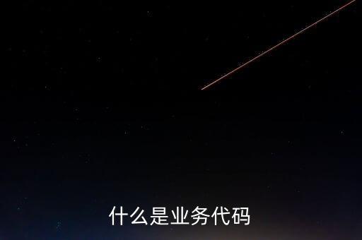 工商業(yè)務(wù)代碼是什么意思，businesscode是啥意思