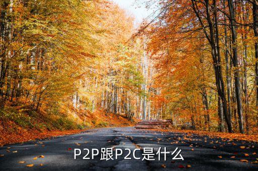 p2c平臺(tái)是什么，什么是P2P什么是P2C
