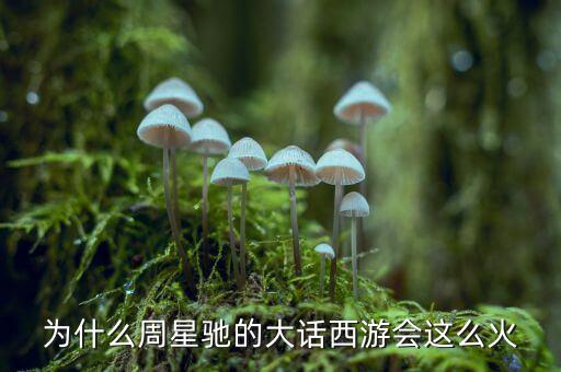 大話西游為什么火，為什么周星馳的大話西游會(huì)這么火
