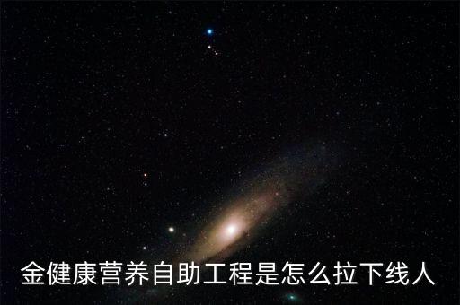 金健康是通過(guò)什么方式賺錢，金健康營(yíng)養(yǎng)自助工程是怎么拉下線人