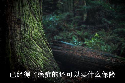 癌癥病人能買(mǎi)什么險(xiǎn)，癌癥患者能參加什么保險(xiǎn)