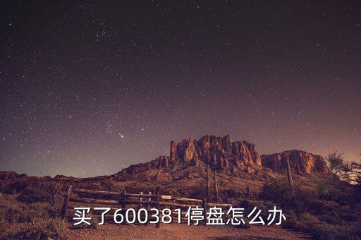600381為什么被st，買了600381停盤怎么辦