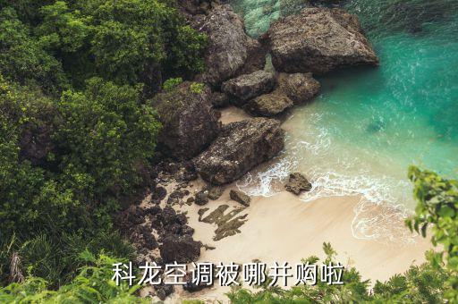海信什么時候收購科龍，海信與科龍的關(guān)系是什么呀