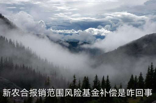 什么是政府風(fēng)險(xiǎn)補(bǔ)償基金，政府風(fēng)險(xiǎn)補(bǔ)償基金屬于哪個(gè)企業(yè)會(huì)計(jì)科目