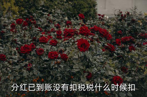 紅利稅什么時(shí)候扣除，分紅已到賬沒有扣稅稅什么時(shí)候扣