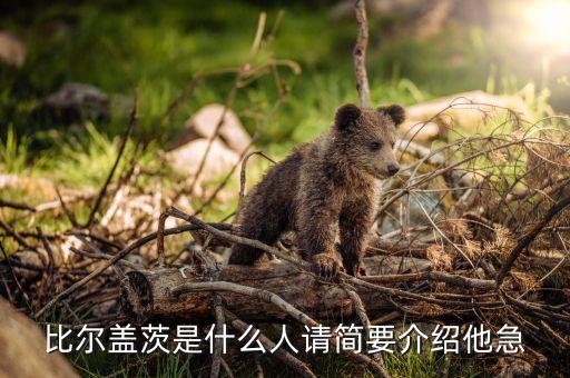 比爾蓋茨是個(gè)什么樣的人，比爾蓋茨是什么族裔的人