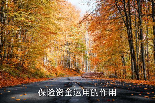 保險(xiǎn)資金運(yùn)用余額什么意思，保險(xiǎn)每年的資金運(yùn)用余額具體是什么