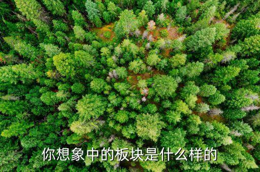 在你的想象中板塊是什么，在你的想象中板塊是什么答案別太長(zhǎng)