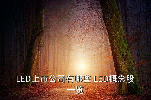 上市公司鴻什么視訊，視訊行業(yè)有哪些公司