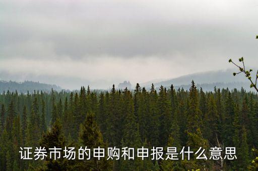 金融行業(yè)中的逐日申報(bào)是什么意思，外貿(mào)中到到銀行申報(bào)是什么意思申報(bào)什么呢哪位高人指點(diǎn)一下謝
