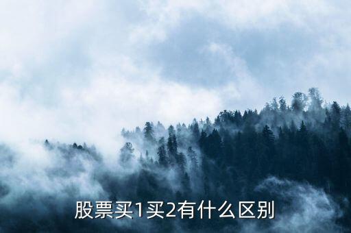 股票中買1買2什么意思，股票中的買一買二賣一賣二是什么意思