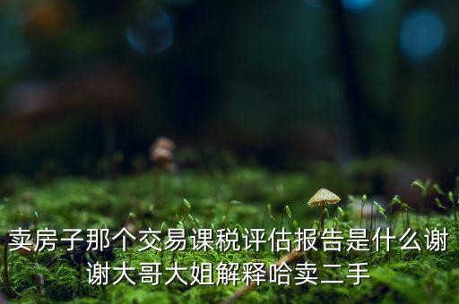 交易課稅是什么意思，名詞解釋證券交易稅