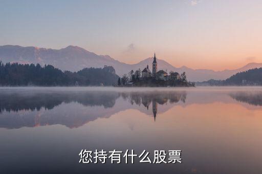 樊淑珍持有什么股，香港中央代理人持有哪些股票
