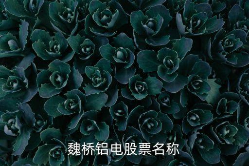 宏橋跟魏橋什么關(guān)系，宏橋中學怎么退學費