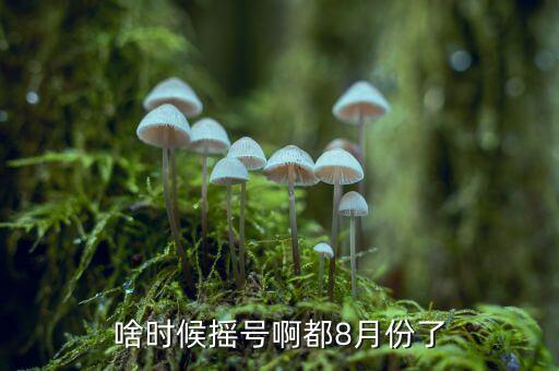 首城東郡匯什么時(shí)候搖號(hào)，搖號(hào)什么時(shí)候開始呢
