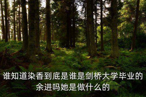 麥肯錫合伙人是什么，誰知道染香到底是誰是劍橋大學畢業(yè)的余進嗎她是做什么的