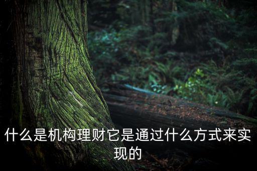 什么是機(jī)構(gòu)理財，什么是第三方的理財機(jī)構(gòu)