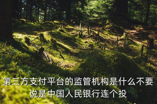 第三方支付平臺由什么機(jī)構(gòu)授權(quán)，第三方支付平臺的監(jiān)管機(jī)構(gòu)是什么不要說是中國人民銀行連個投