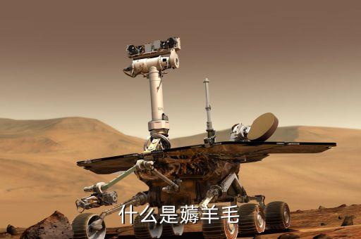 薅羊毛是什么意思，什么是 擼羊毛