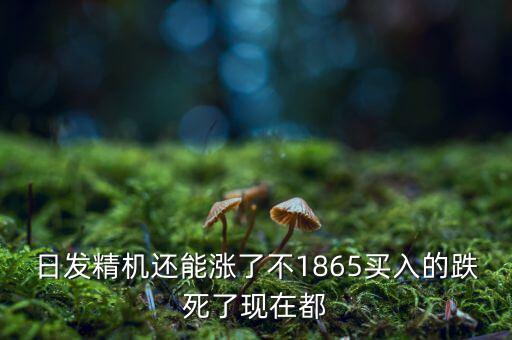 日發(fā)精機為什么一直跌，002009 怎么老跌呀