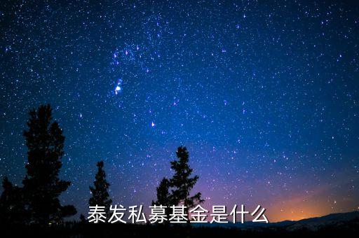 000263基金是什么基金，國金金騰通貨幣c是一種什么基金