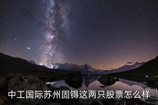 中工國(guó)際蘇州固锝這兩只股票怎么樣
