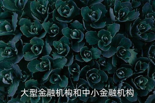 什么是中小金融機(jī)構(gòu)，大型金融機(jī)構(gòu)和中小金融機(jī)構(gòu)