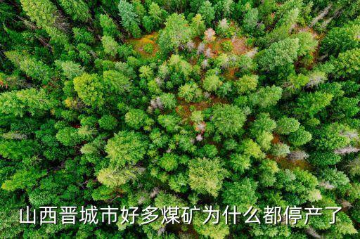 為什么礦山現(xiàn)在停產(chǎn)，為什么現(xiàn)在的礦業(yè)幾乎全部停產(chǎn)