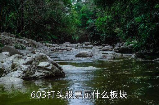 601608屬于什么板塊，600618屬于什么板塊