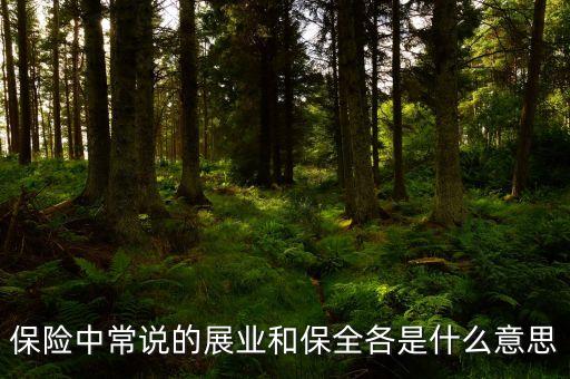 保險(xiǎn)中常說的展業(yè)和保全各是什么意思