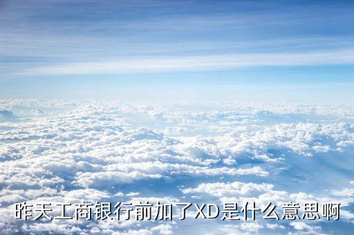 xd工商銀行是什么意思，征信系統(tǒng)中xd代號(hào)是哪個(gè)銀行