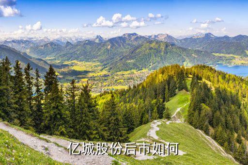 億城投資為什么停盤，000616億城股份能買嗎 他的k線說明什么 怎么前天的 單獨(dú)出去一根