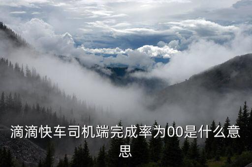 滴滴快車完成率是什么意思，滴滴快車成交率百分之零啥意思