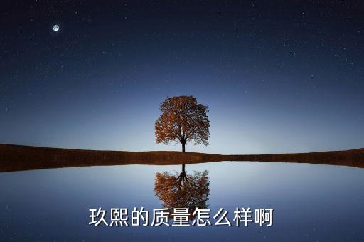 玖熙鞋子屬于什么檔次，玖熙的鞋子怎么樣 NINE WEST
