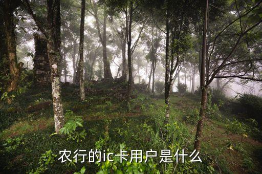 農(nóng)行ic卡是什么，農(nóng)行的ic卡用戶(hù)是什么