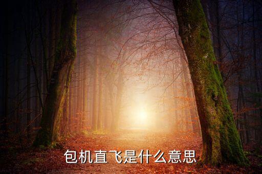 什么是包機(jī)航班，包機(jī)直飛是什么意思