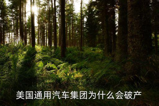 美國汽車巨頭為什么虧本，美國通用汽車集團為什么會破產(chǎn)