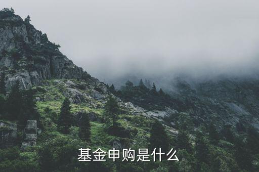 基金申購什么意思，基金支取基金申購什么意思