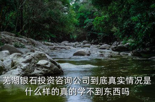 伯威控股是什么，威凌控股公司是做什么的