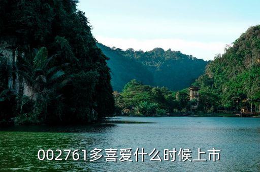 多喜愛什么時候上市，002761多喜愛什么時候上市