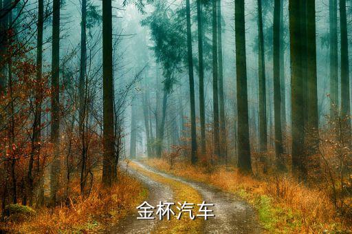 金杯汽車(chē)什么時(shí)侯改革，金杯面包車(chē)哪年起是黃標(biāo)車(chē)