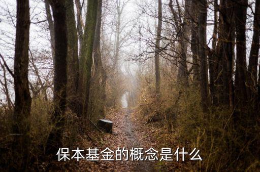 什么是資金錯配，什么是資金合并