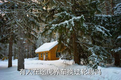 什么是途虎輪胎險，有人在途虎養(yǎng)車換過輪胎嗎