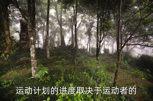 進(jìn)度安排的靈活性是什么決定，運(yùn)動(dòng)計(jì)劃的進(jìn)度取決于運(yùn)動(dòng)者的
