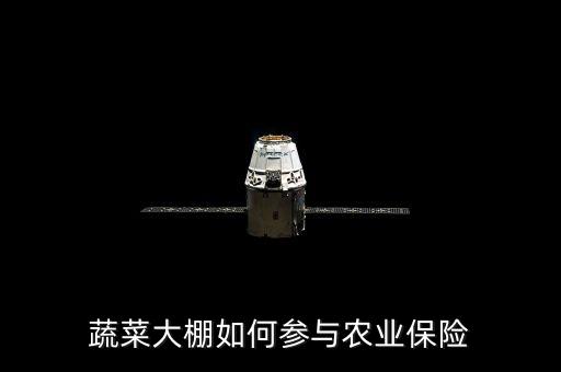 種大棚買保險(xiǎn)陪什么，蔬菜大棚入保險(xiǎn)請(qǐng)問入哪一類保險(xiǎn)