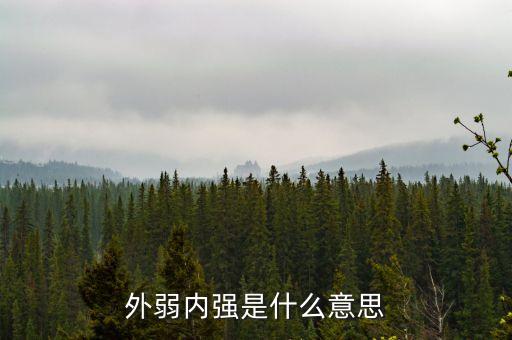 外弱內(nèi)強(qiáng)的是什么，外弱內(nèi)剛是什么意思