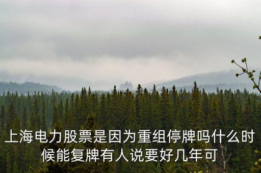 上海電氣什么時(shí)間復(fù)牌，上海電力股票是因?yàn)橹亟M停牌嗎什么時(shí)候能復(fù)牌有人說(shuō)要好幾年可