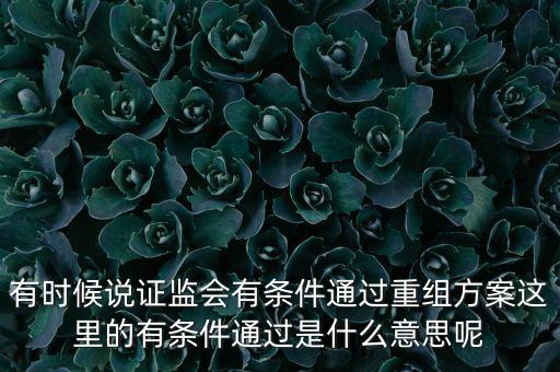 重組項(xiàng)目過會(huì)是什么意思，資產(chǎn)重組獲股東大會(huì)高票通過什么意思