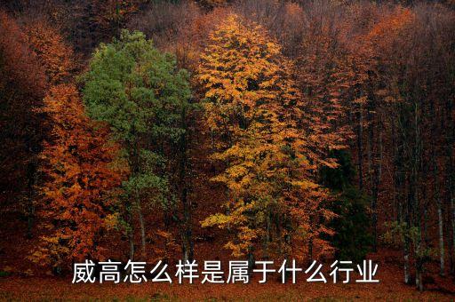 威孚高科屬于什么行業(yè)，威高怎么樣是屬于什么行業(yè)