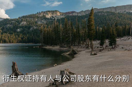 衍生權(quán)證是什么，衍生權(quán)證持有人與公司股東有什么分別